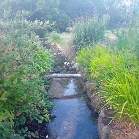 Homestay Twin With Shared Bathroom And Kitchen 3km From Centre Galway
